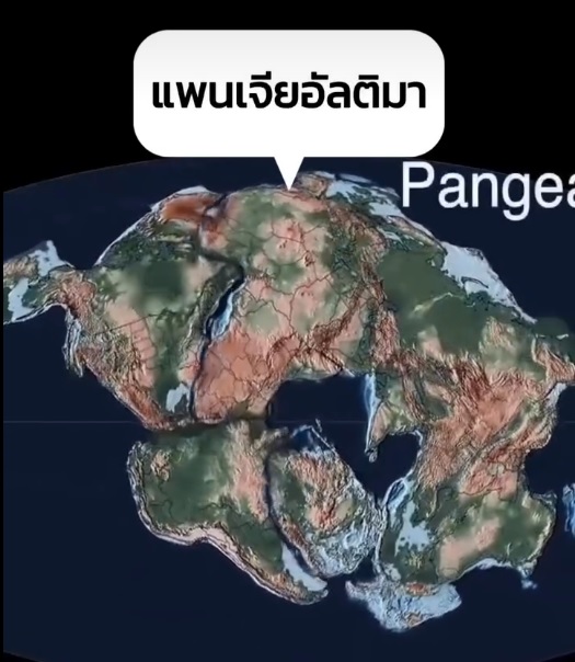 แพนเจีย อัลติม่า ทวีปใหม่ในอีก 250 ล้านปีข้างหน้า