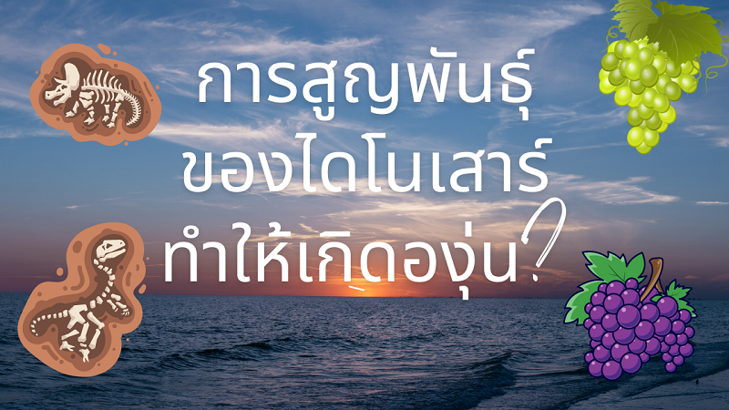 การสูญพันธุ์ของไดโนเสาร์ ทำให้ ’องุ่น’ เกิดขึ้นบนโลก?