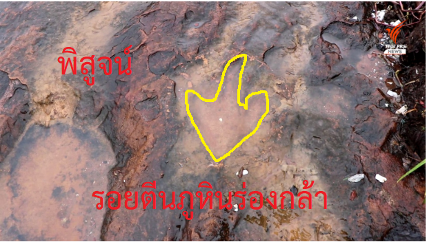 เร่งพิสูจน์ร่องรอยคล้าย "รอยตีนไดโนเสาร์" ภูหินร่องกล้า